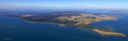 French Island - VIC (PBH4 00 11487)